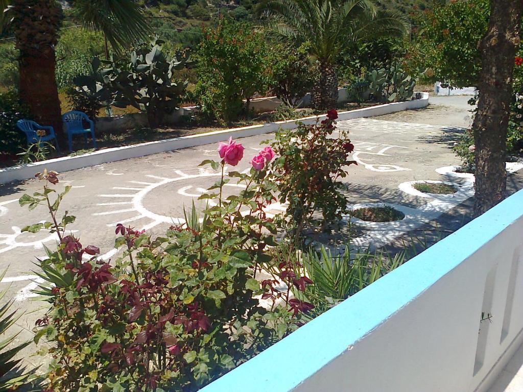 Dionysia Apartments Kéfalos Exteriér fotografie